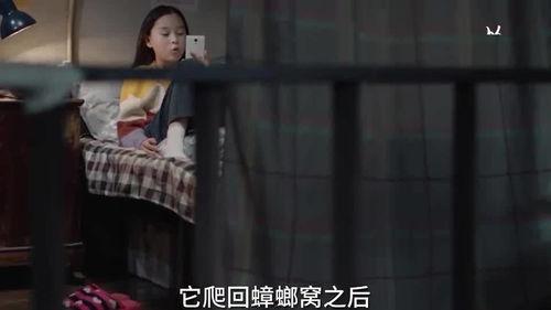 秘密储藏室爆料视频,独家爆料视频背后的惊人真相 第2张 秘密储藏室爆料视频,独家爆料视频背后的惊人真相 第2张